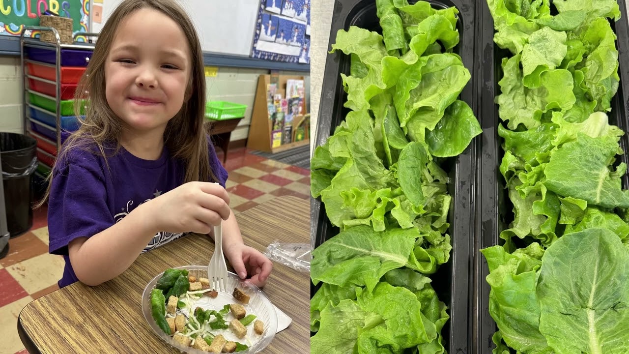 Cafeteria Chronicles: Innovation in Nutrition Education Award