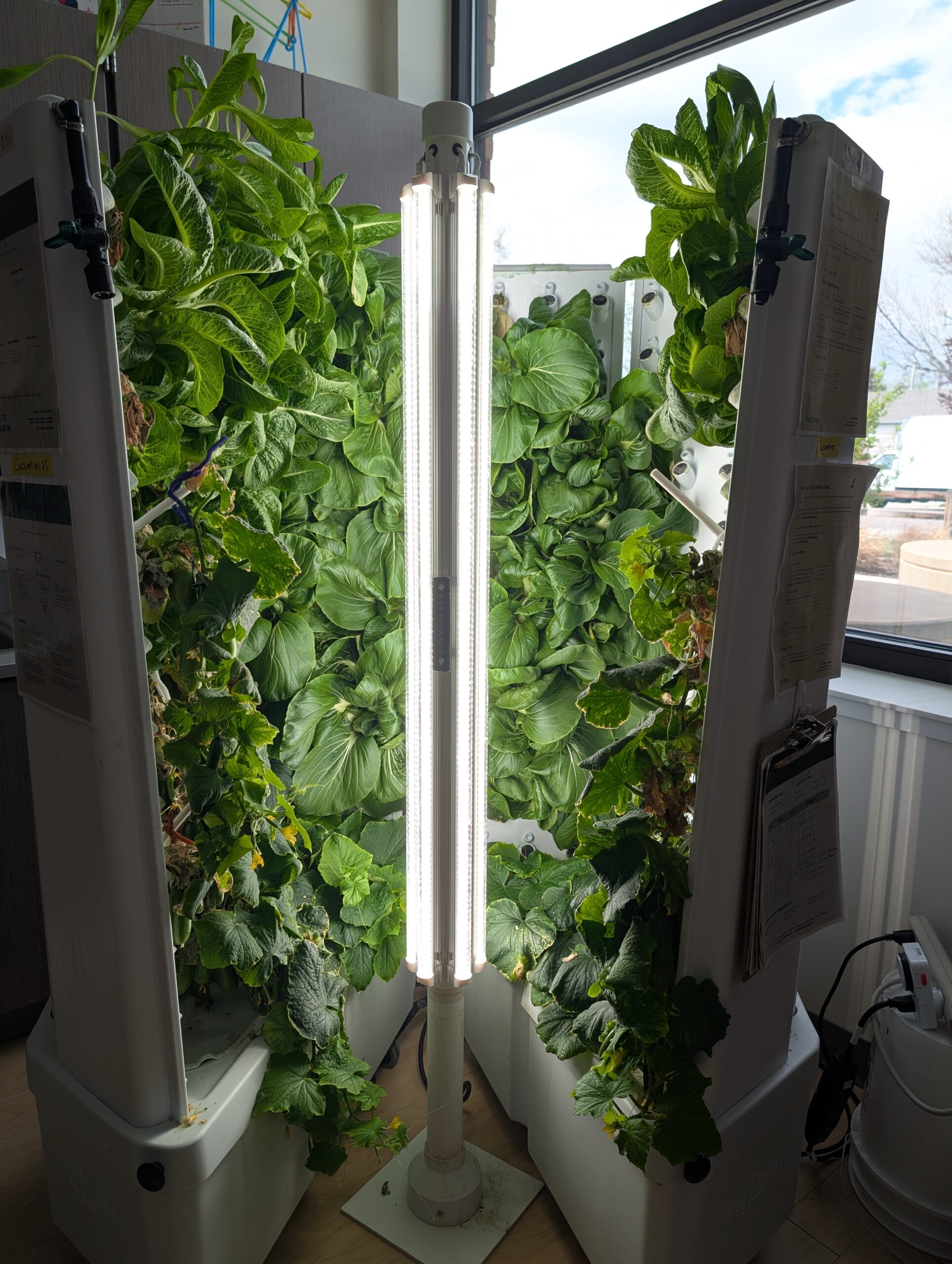 PXL 20250428 171832869 scaled