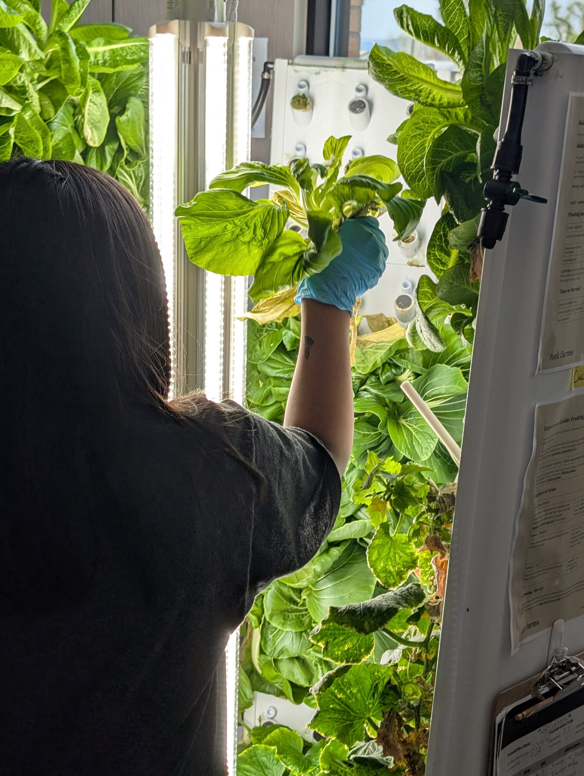 PXL 20250428 174022929 scaled