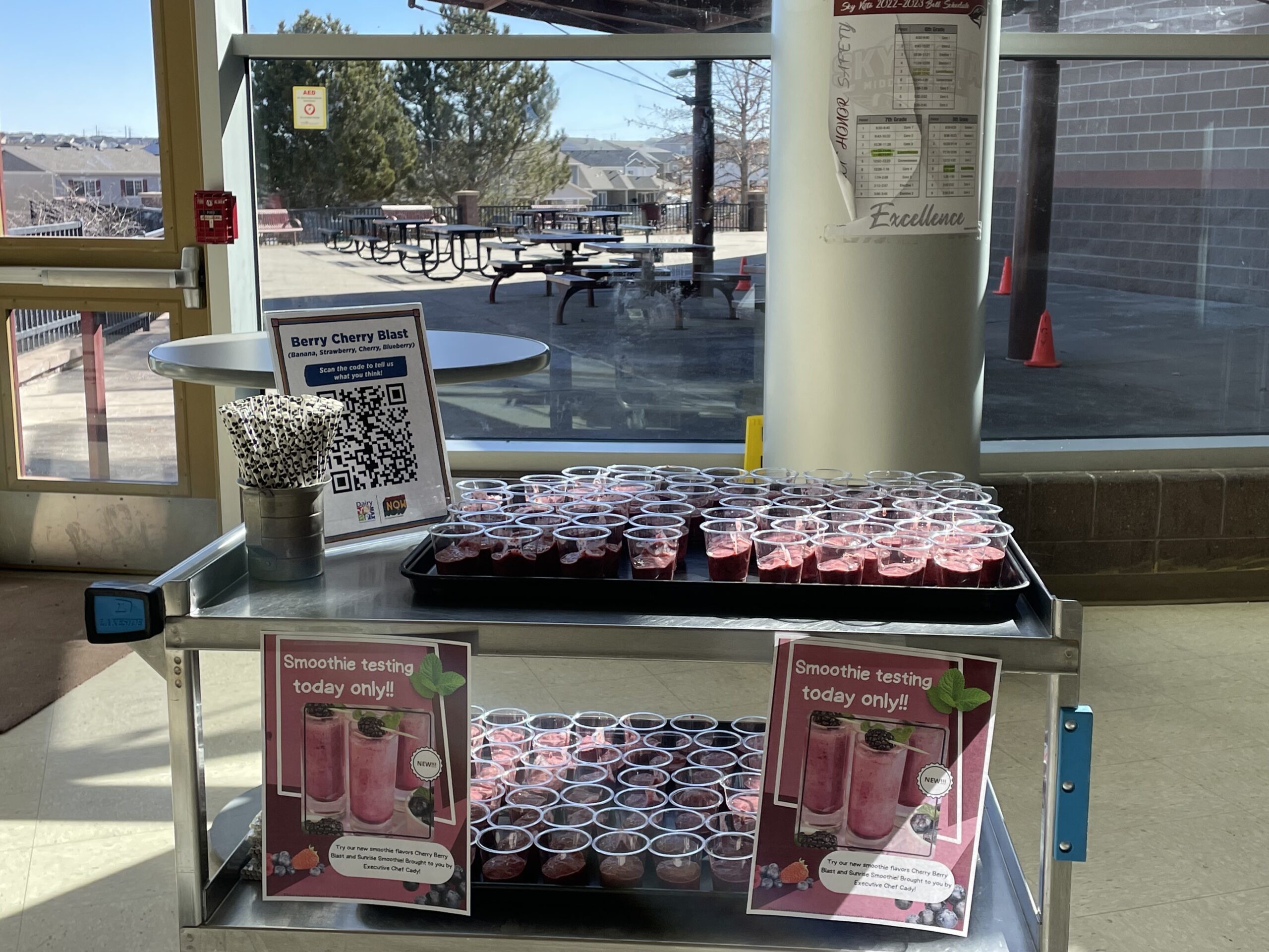 Smoothie Samples scaled